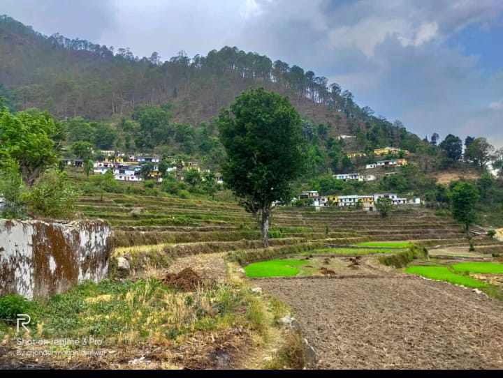 पांडव सेना