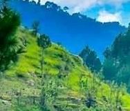 पांडव सेना